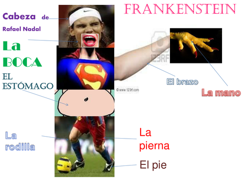 El cuerpo Frankenstein/ The body Frankenstein