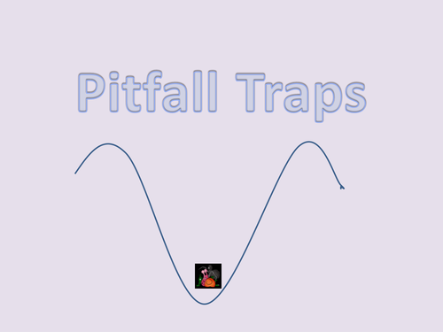 Minibeasts KS1 Pitfall Trap PPT