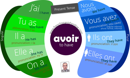 Verb to have (avoir) in French: Present tense