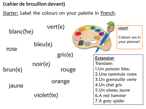 French Adjective Agreement And Placement Teaching Resources
