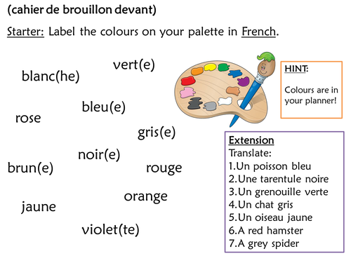 What Is Adjective Agreement In French