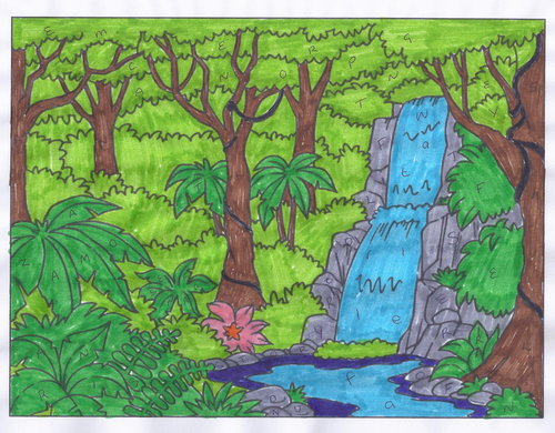 Brazil / Rainforest | Teaching Resources