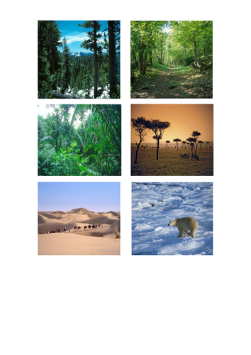 Ecosystems of the world