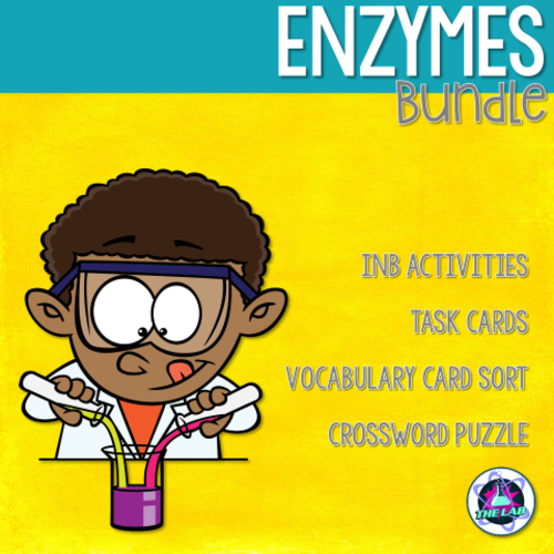 Enzymes BUNDLE