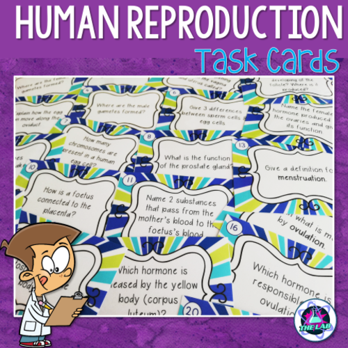 Human Reproduction Revision Task Cards
