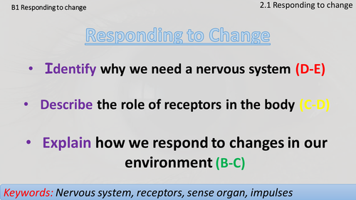 AQA B1.2.1 Responding to change