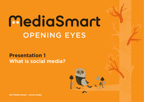 Social Media & Advertising (11-16 yrs)