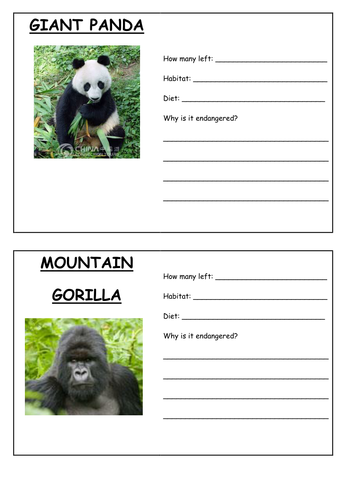 Human Impact on Ecosystems Low Ability