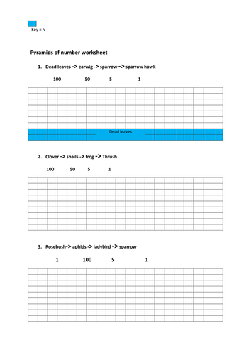 worksheet for pyramids of number and biomass