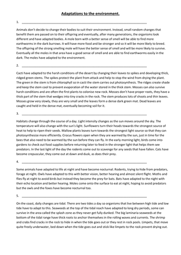 Active reading sheet on Daily and Seasonal Changes