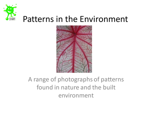Patterns in the environment - A slideshow of images