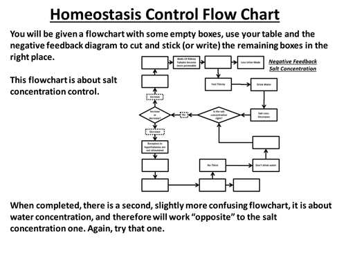 Negative Feedback - Homeostasis of Water cut and stick by ...