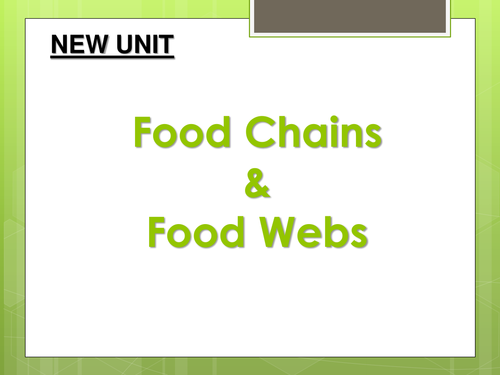 Year 7 The Food Chain MINI UNIT Resources