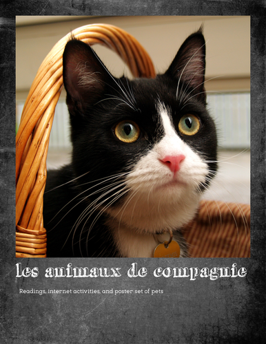 Pets in France - activity unit