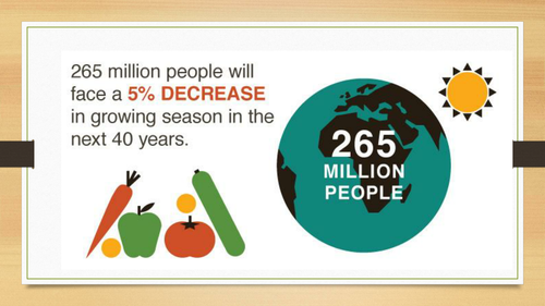 KS3 Insect Pollination and Food security