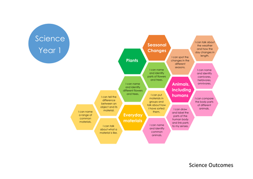 Science "I can" statement honeycombs