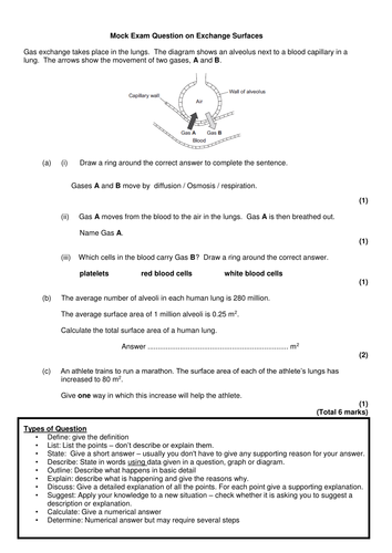 NEW OCR A Level Biology - Exchange Surfaces & Breathing by HenrikHanson - Teaching Resources - TES