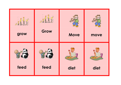 Health and Growth - Science keyword activities, resources and displays