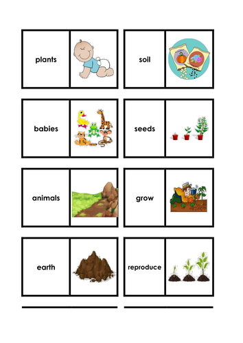 Animals and Plants in the local environment  - Science keyword activities, resources and displays
