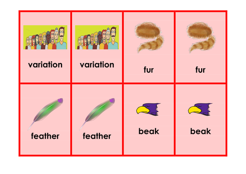 Variation  - Science keyword activities, resources and displays