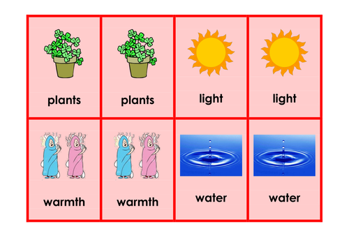 Helping Plants Grow Well - Science keyword activities, resources and displays