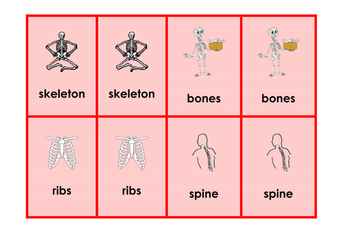 Moving and Growing  - Science keyword activities, resources and displays