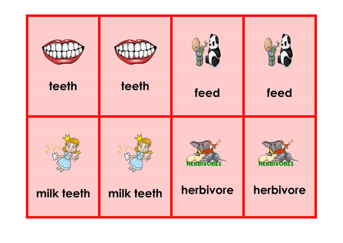 Teeth and Eating - Science keyword activities, resources and displays