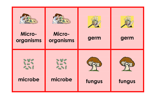 microorganisms -Science keyword activities, resources and displays