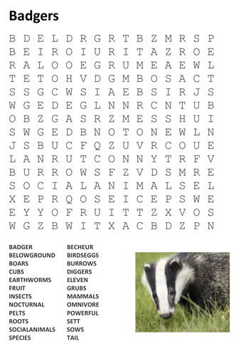 Badgers Word Search
