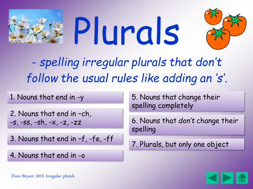 Irregular plurals [of nouns] power-point, the ones that don't follow the usual spelling rules.
