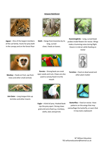 Brazil (6th - 10th Grade)