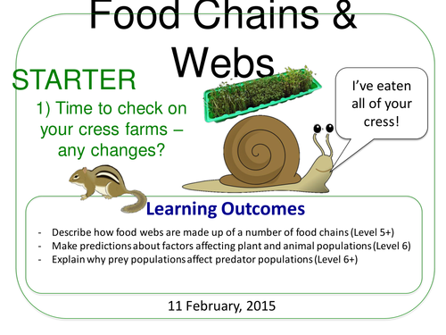 Grade 6-12: Food Chains & Webs (Plants & Ecosystems 7.6)