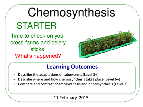 Grade 6-12: Chemosynthesis (Plants & Ecosystems 7.6)