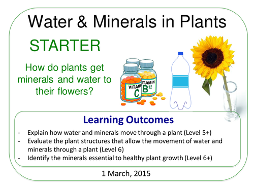 Grade 6-12: Water & Minerals in Plants  (Plants & Ecosystems 7.6)