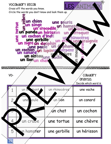 Word Cloud and Odd-one-out Les Animaux