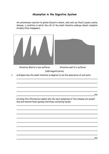 Biology: Digestive Absorption