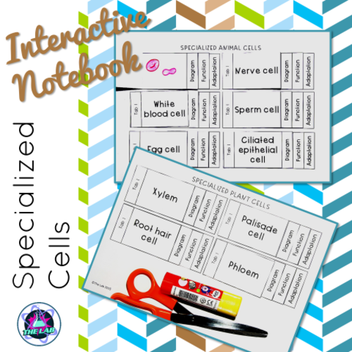 Specialized Cells INB