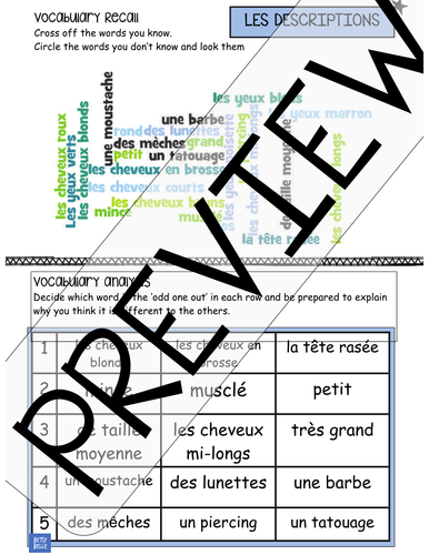 Word Cloud & Odd-one-out Les Descriptions