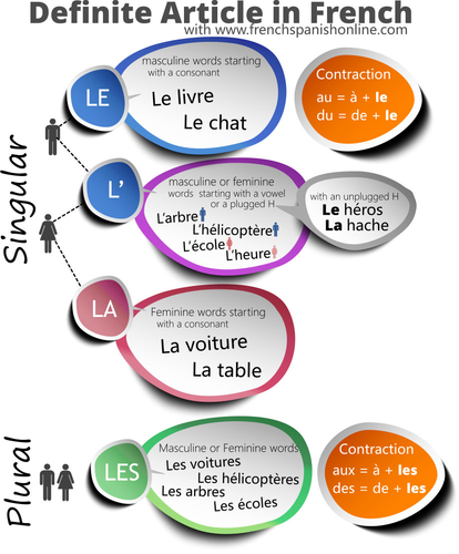 French Definite articles