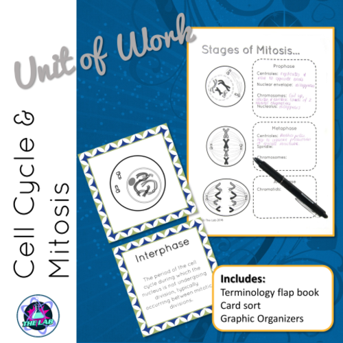 Cell Cycle & Mitosis Unit of Work