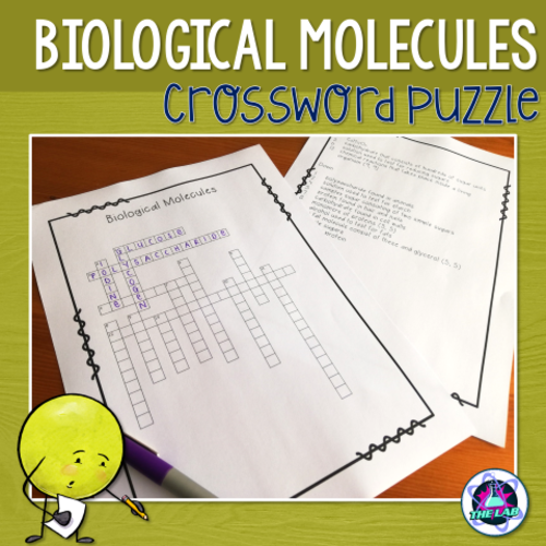 Biological Molecules Crossword Puzzle Teaching Resources