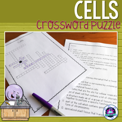 Cells Cell Organelles Crossword Puzzle Teaching Resources