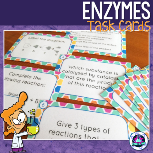 Enzymes Task Cards