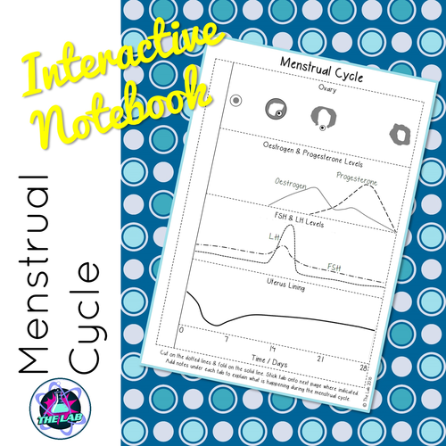 Menstrual Cycle Interactive Notebook