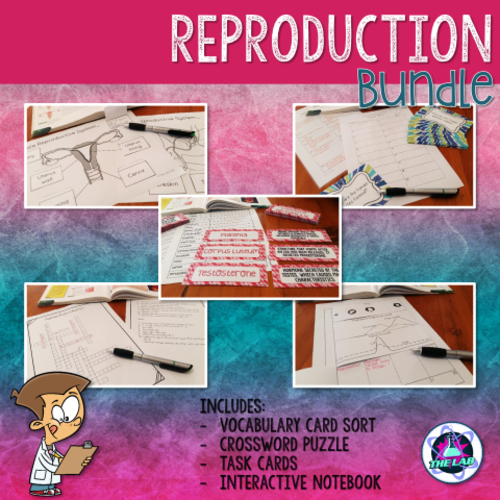 Human Reproduction BUNDLE