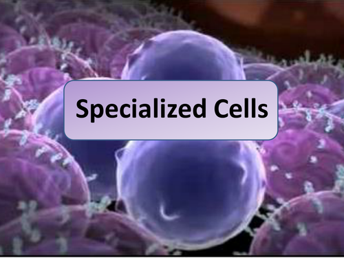 Specialized Cells Lesson