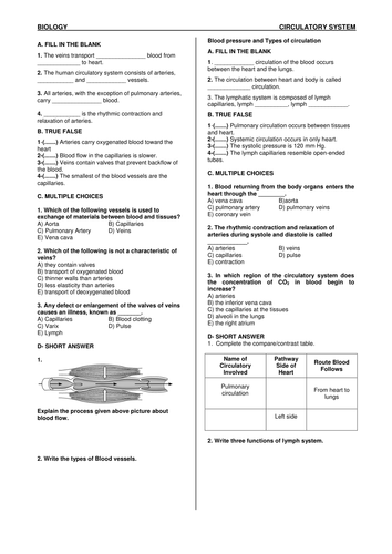 Circulatory system-2