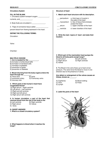 Circulatory System Worksheet 1