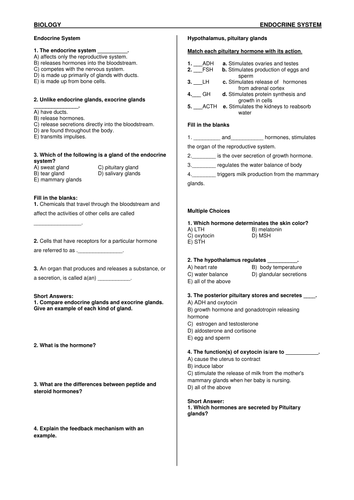Endocrine System Worksheet