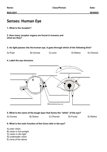 sense-organs-worksheet-teaching-resources